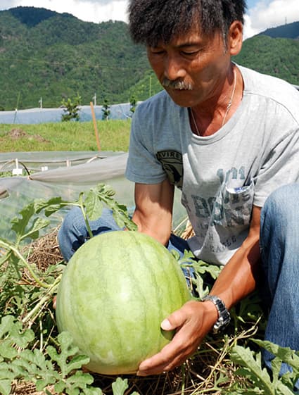 昔の「角井スイカ」一世を風びした「富研号」販売