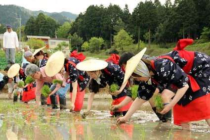 幻の銘酒復活へ第1歩 東近江市の「百済寺樽」