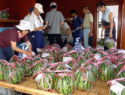 取り組みから5年目 特産品復活「角井西瓜」直売