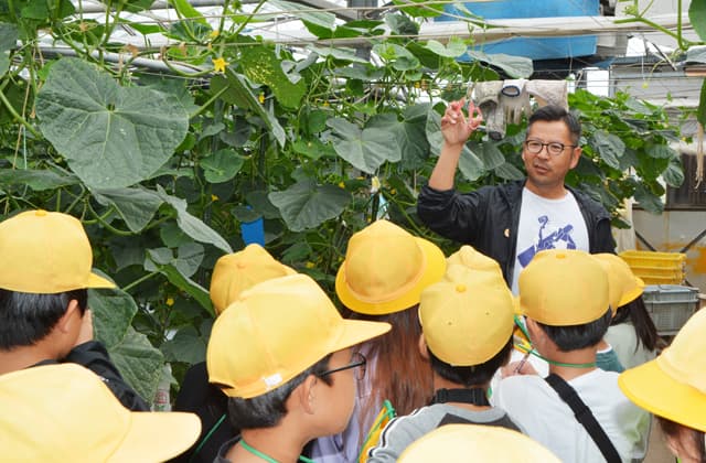 キュウリを一口「めちゃおいしい」