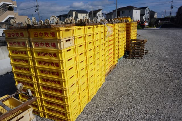 田中牧場パレット無料配布 野菜の運搬に便利