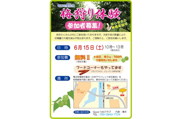 梅狩り体験実施 竜王町の女性グループ「Goodうめクラブ」主催