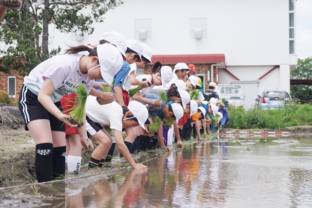 秋の収穫が楽しみ