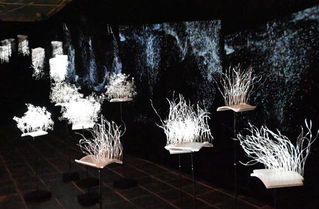 光の煌めきと揺らぎ 企画展「Re frame」