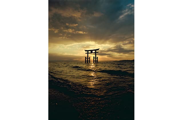 「ここ滋賀」からの“旬”情報