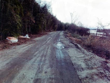 放射性木材チップ不法投棄問題