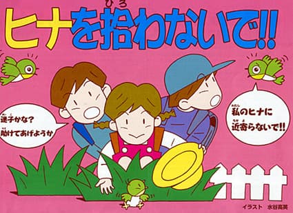 ヒナを拾わないで!!キャンペーン実施中