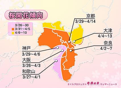 今春のサクラ開花傾向