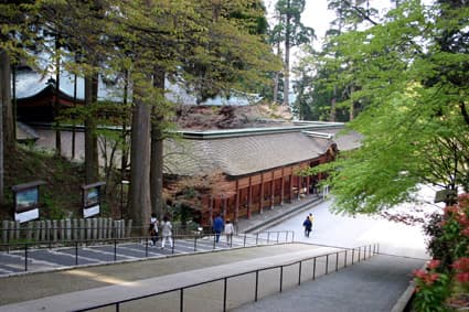 米原市などで「緑の集い」