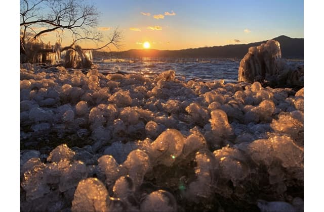 しがのフォトコン