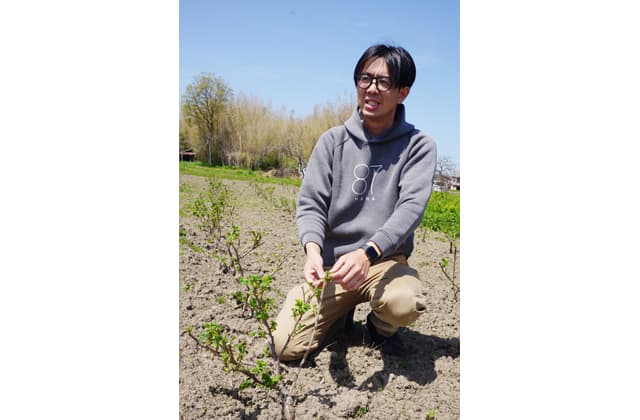 耕作放棄地をお花畑に CF第2弾 87farmの挑戦