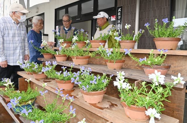 ふるさとの草花「むしゃりんどう」展示会