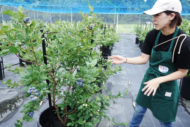 日野町杣に新たな観光農園「遊農園」オープン