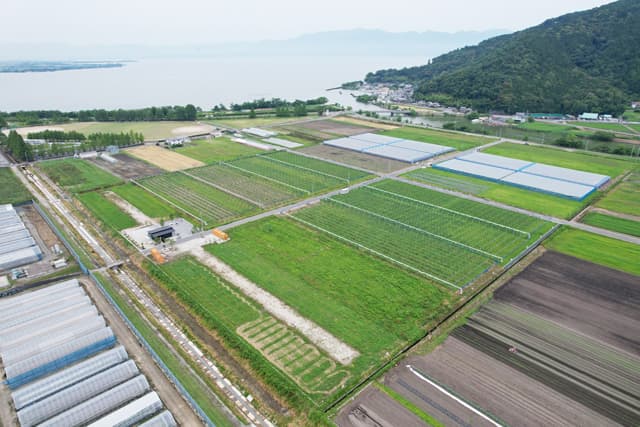 津田干拓果樹団地 梨栽培1区画入植者募集
