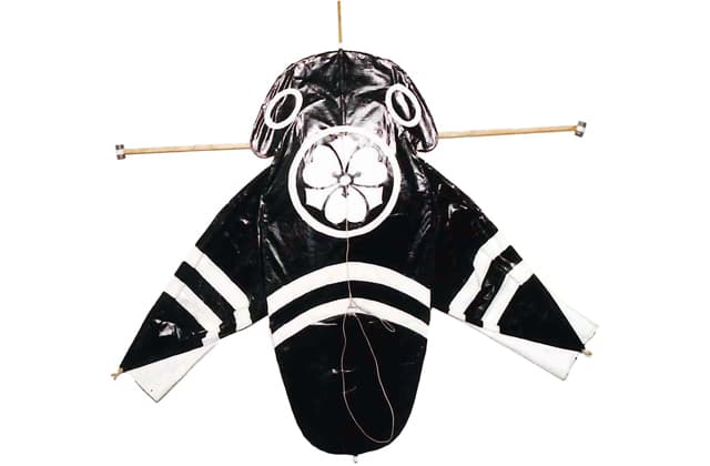 東近江大凧会館で企画展 岐阜・愛知・三重の凧集結