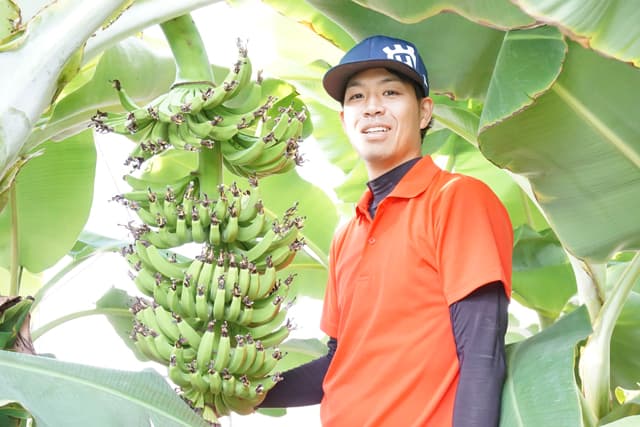 県唯一のバナナ栽培に取り組む