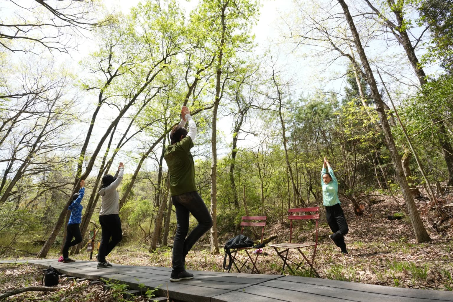新緑に癒やされ精神統一