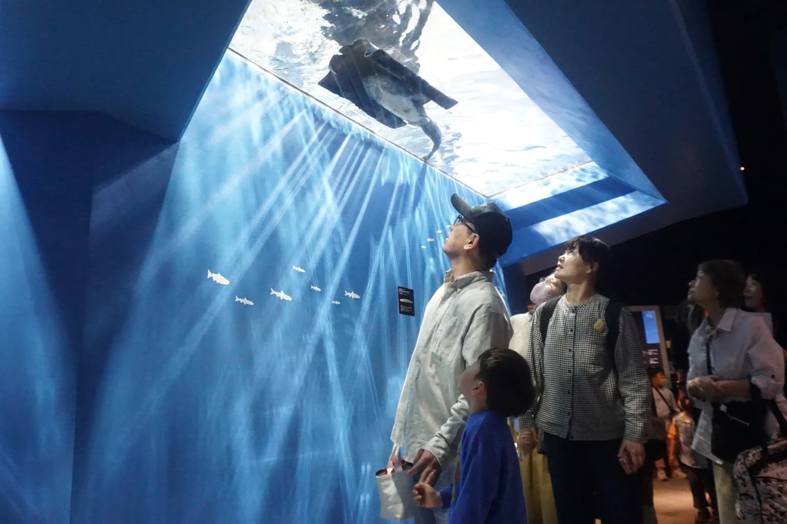 琵琶湖博物館 より深く“琵琶湖の主”を知れる展示に